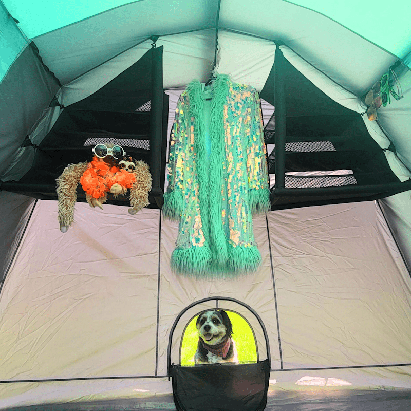 Inside an Omega Tent shows the inflatable shelves and the dog door